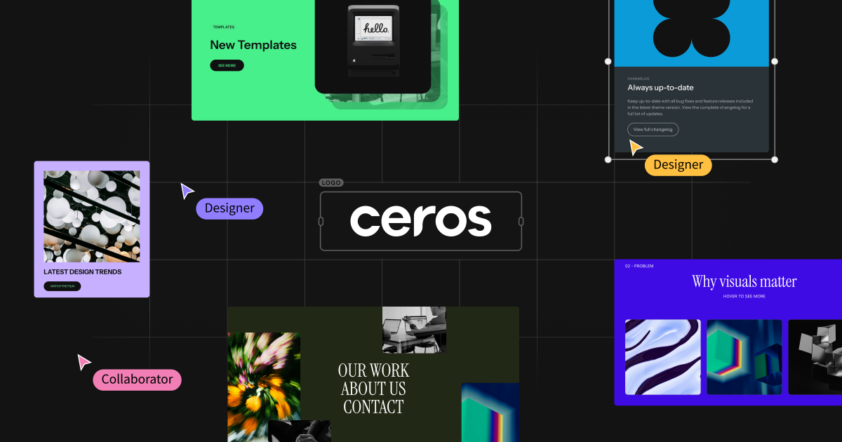 Ceros Flex feature